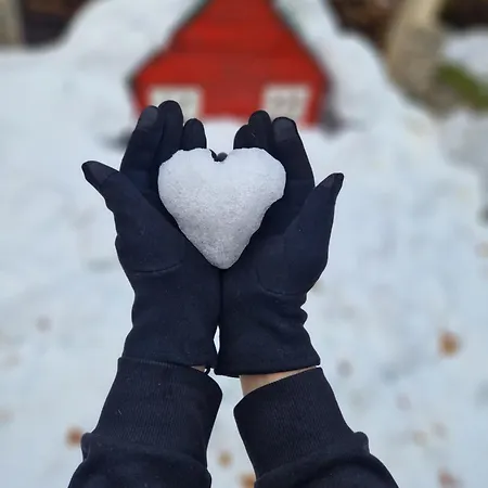 Chalet Mila Mavrovo